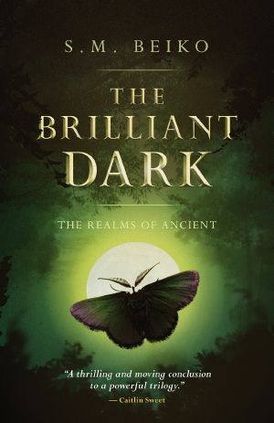 [The Realms of Ancient 03] • The Brilliant Dark